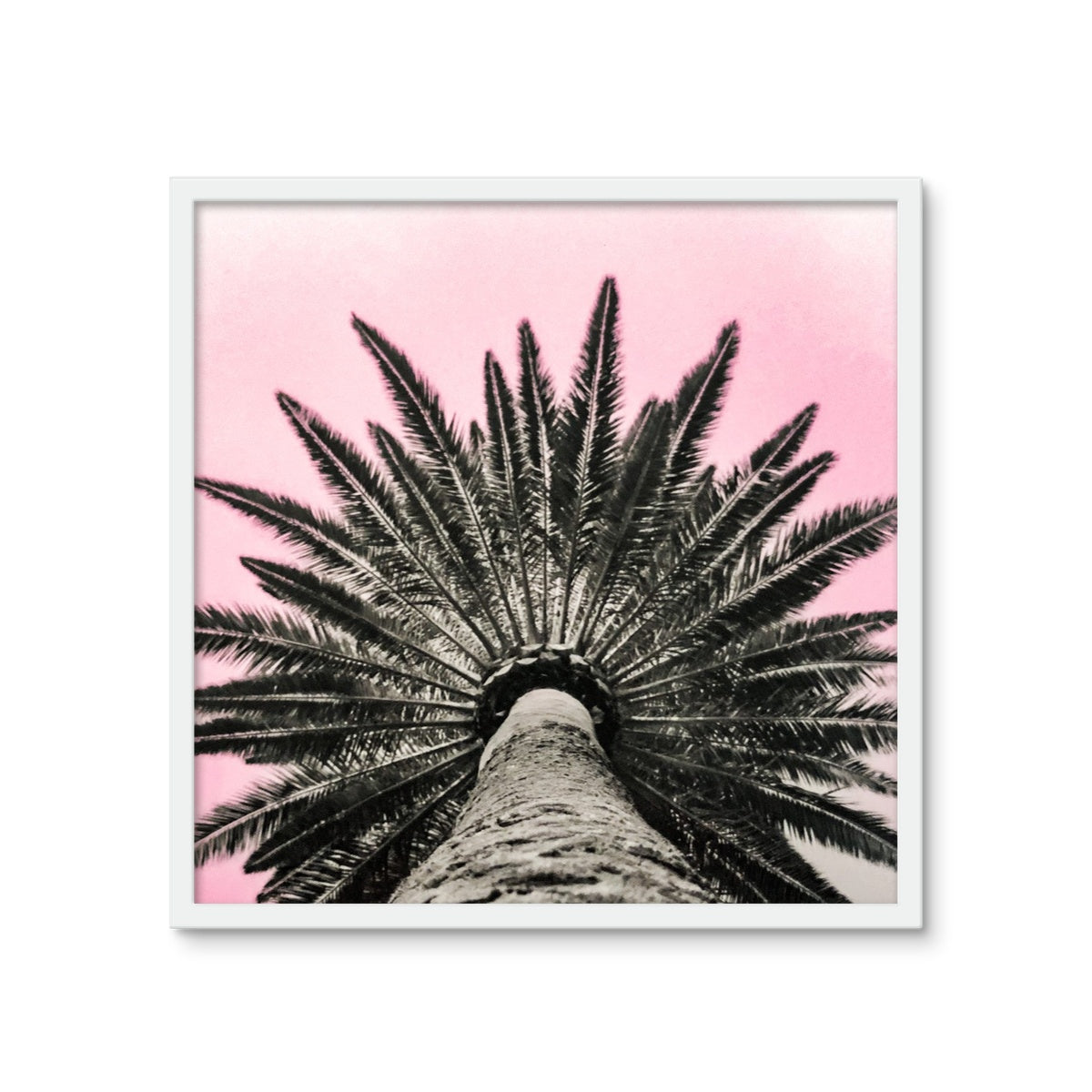 Pinky Palm Framed Photo Tile