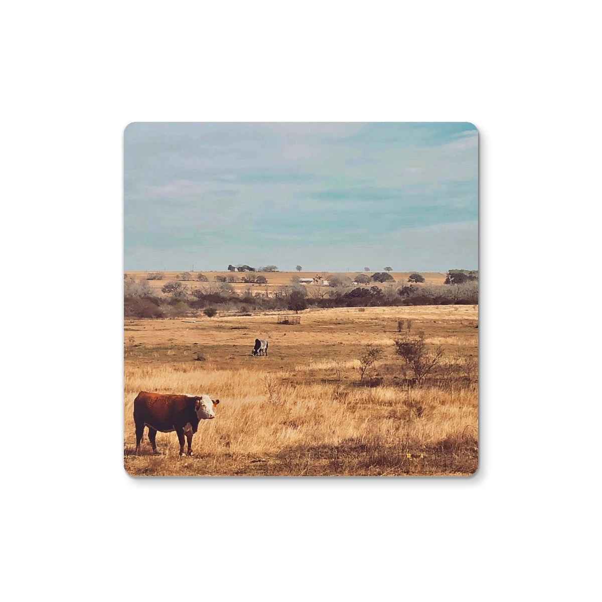 Hereford Horizon Coaster