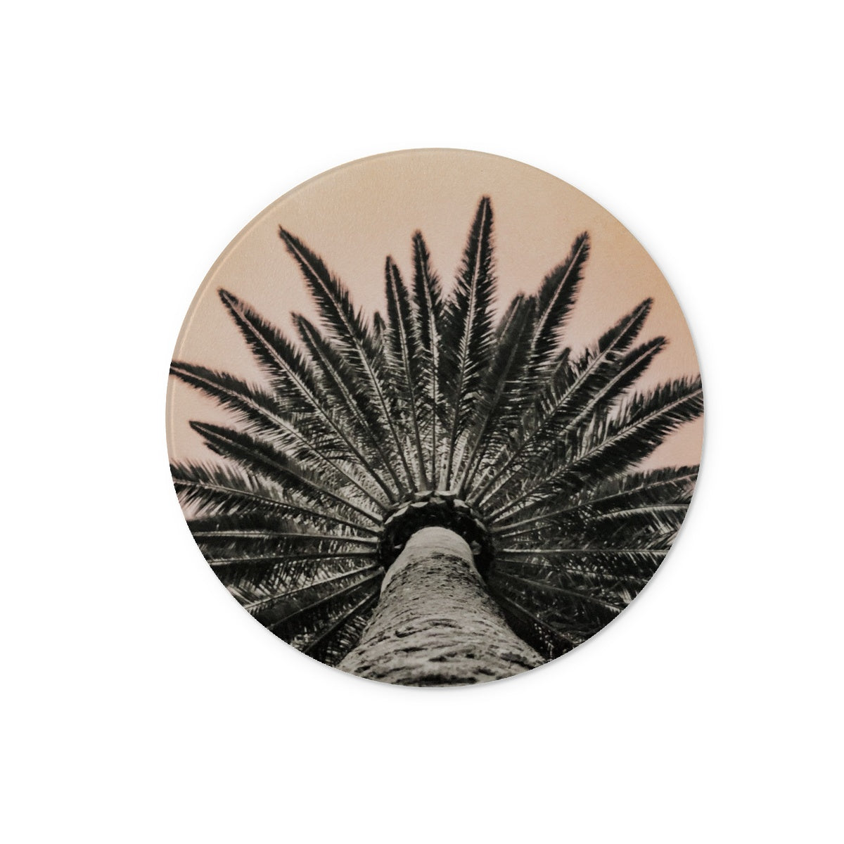 Tinty Palm Glass Chopping Board