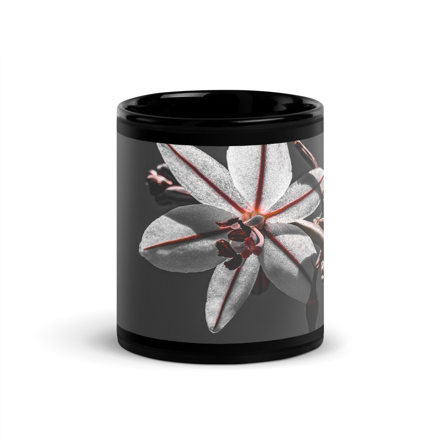 Serenity {a black glossy mug}