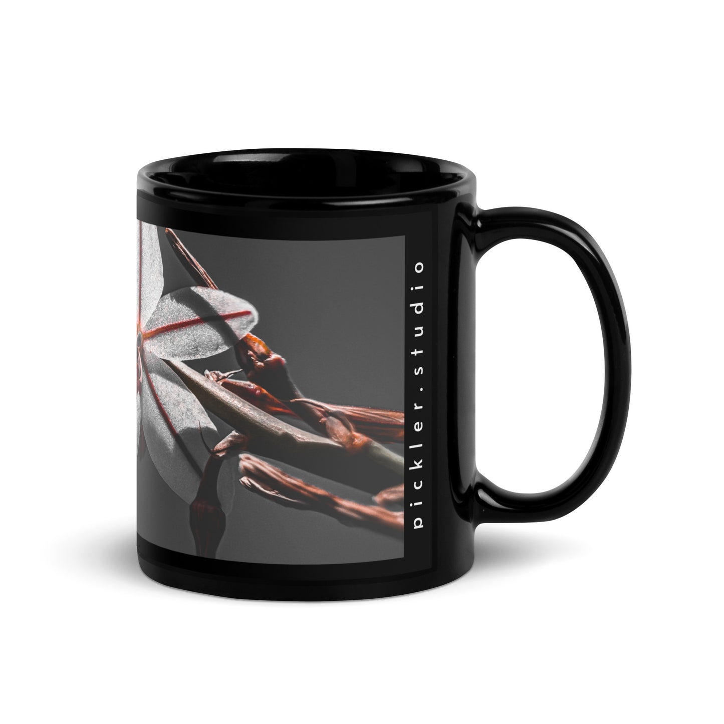 Serenity {a black glossy mug}