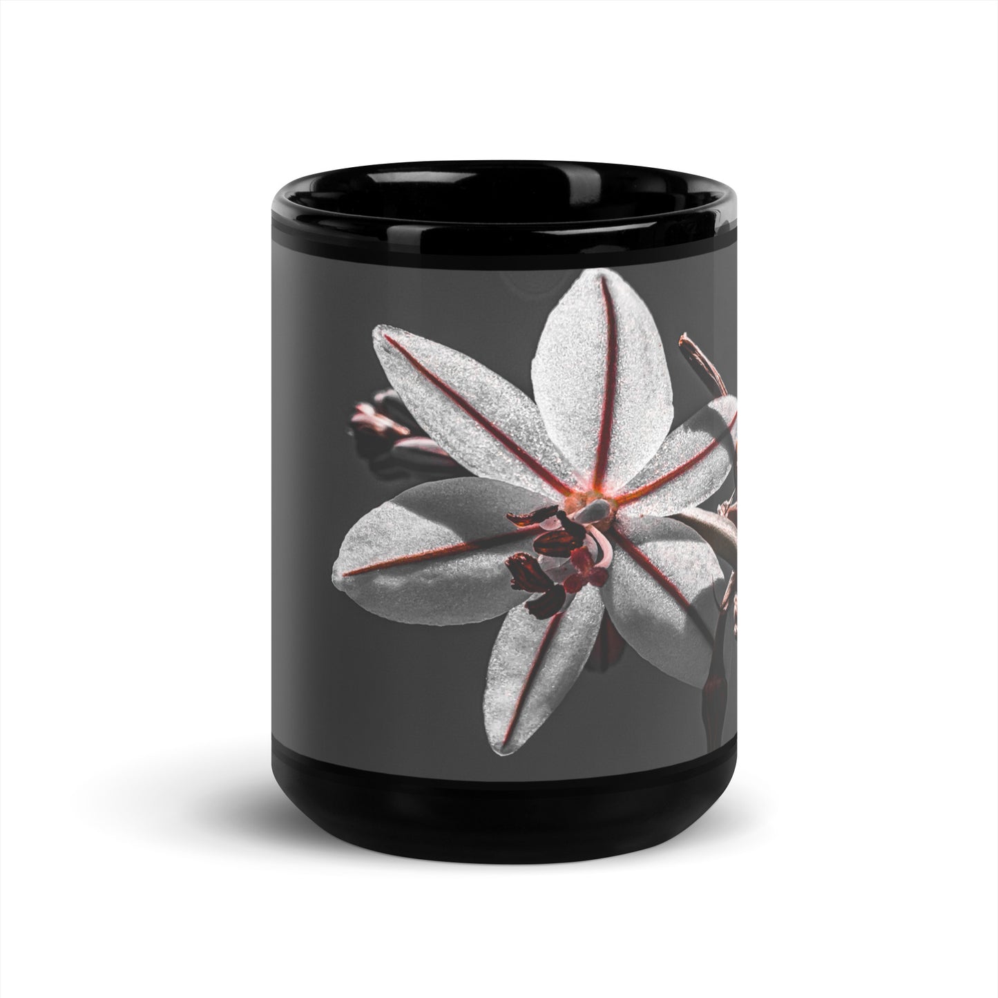 Serenity {a black glossy mug}