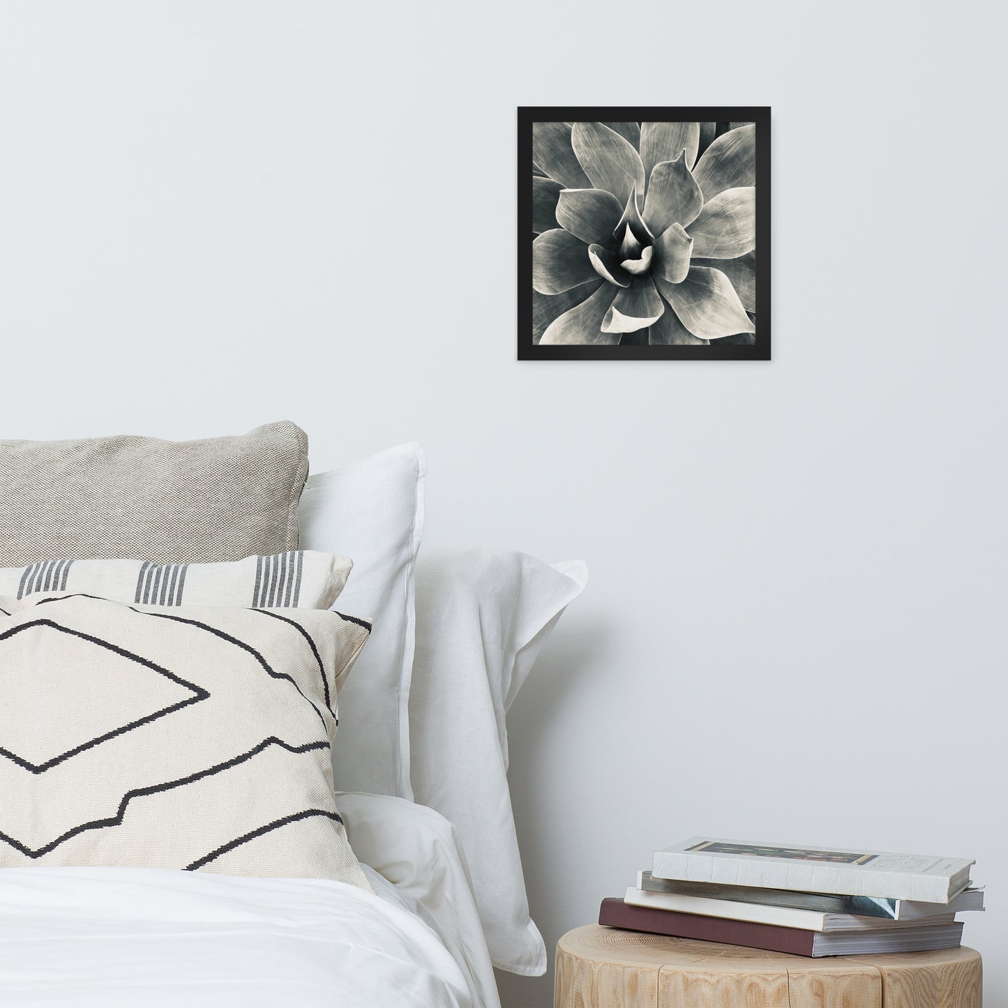 Agave (b + w) {a framed photo paper poster}