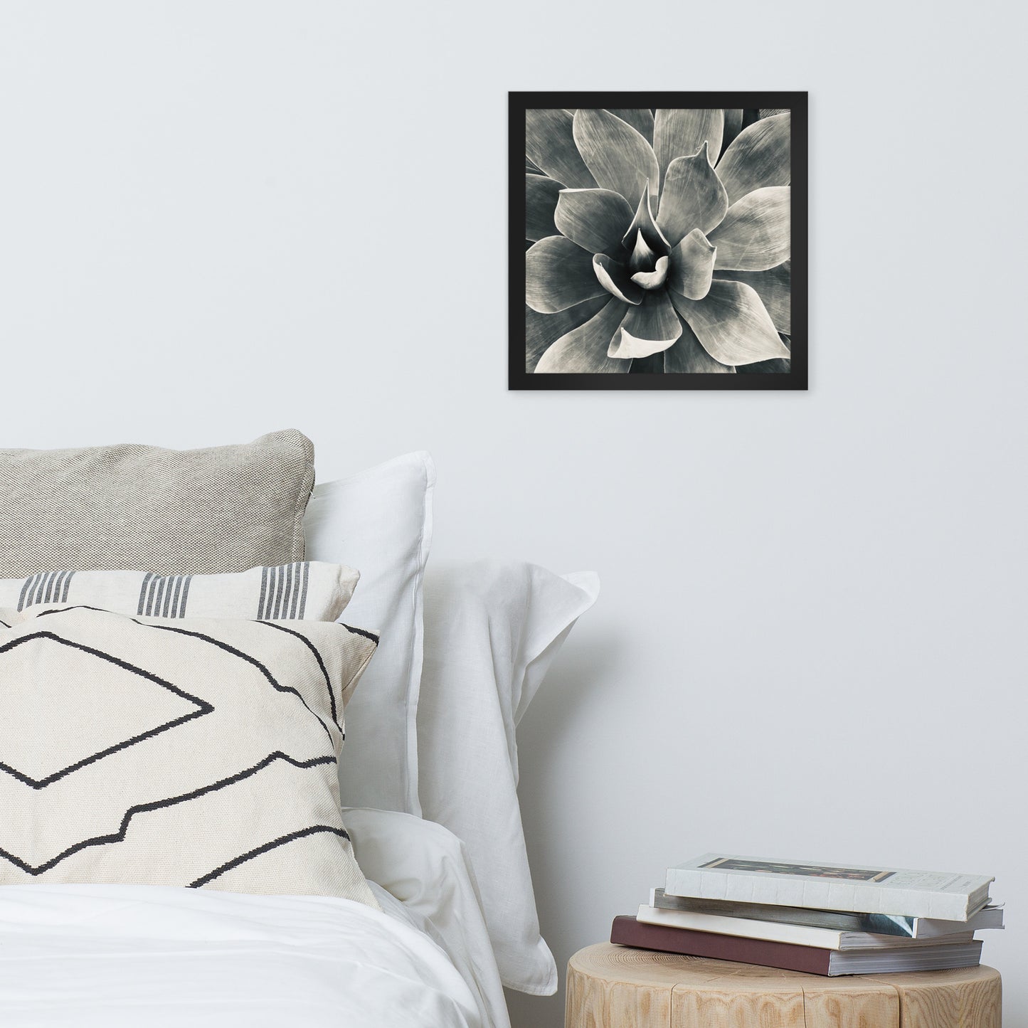 Agave (b + w) {a framed photo paper poster}