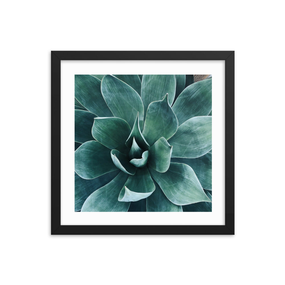 Framed agave paper poster with teal leaves and a dark border frame