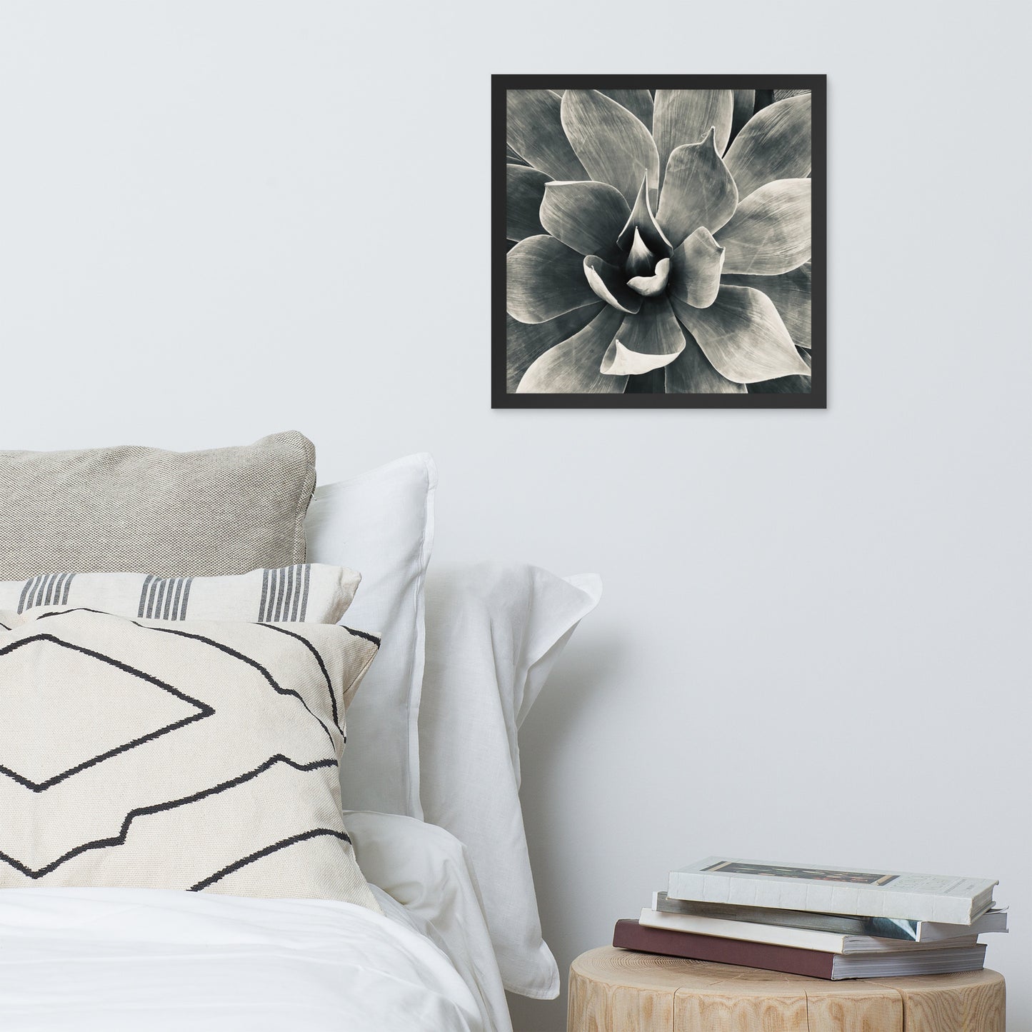 Agave (b + w) {a framed photo paper poster}