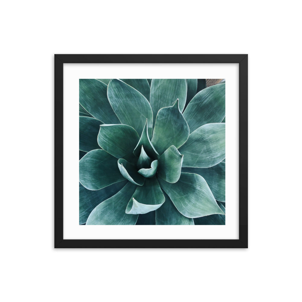 Framed agave paper poster with teal succulent leaves and dark outer frame