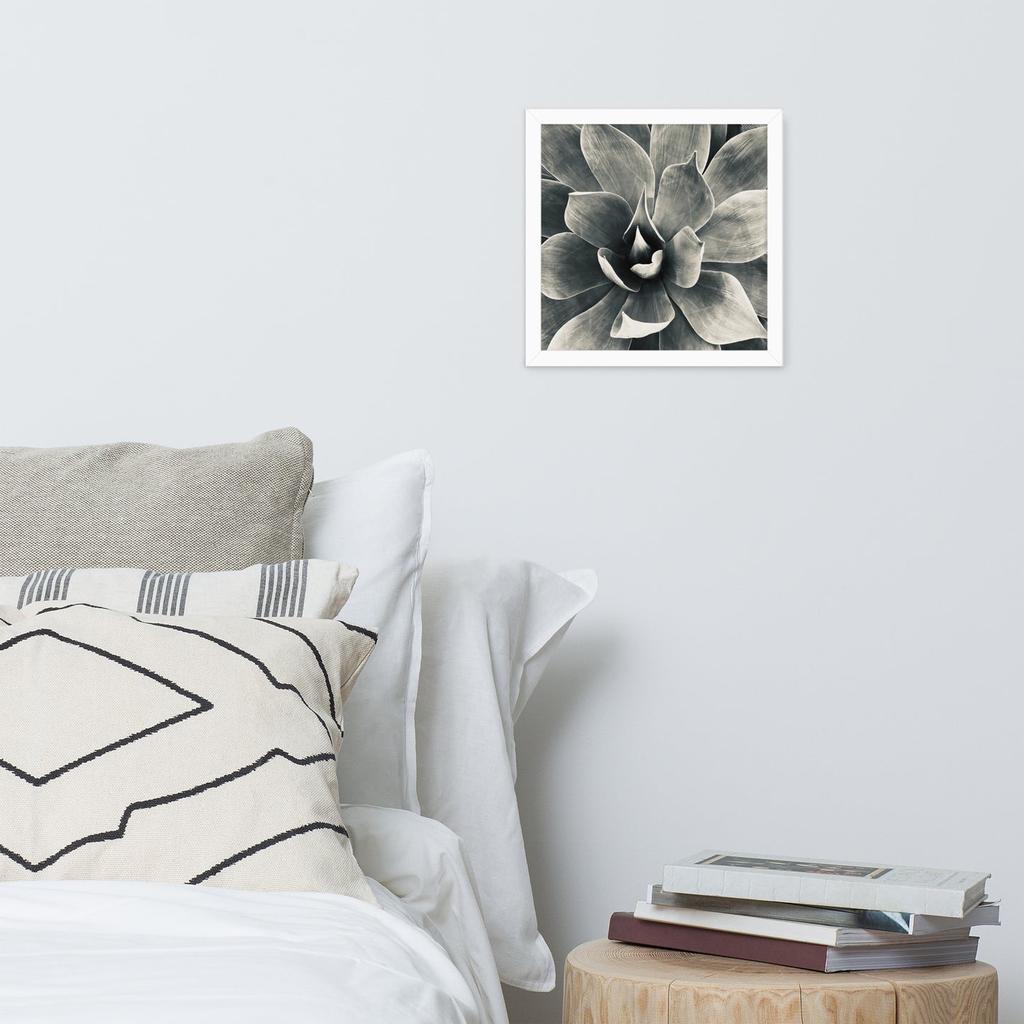 Agave (b + w) {a framed photo paper poster}