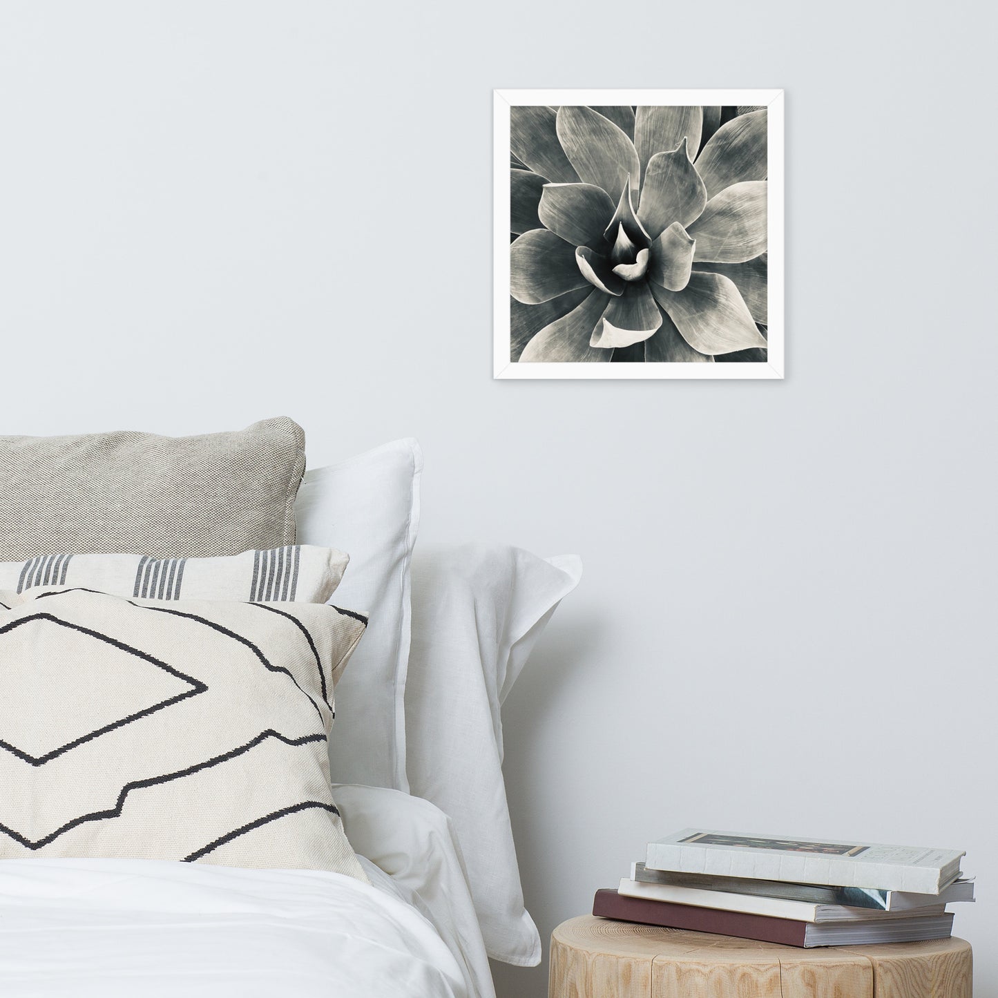 Agave (b + w) {a framed photo paper poster}