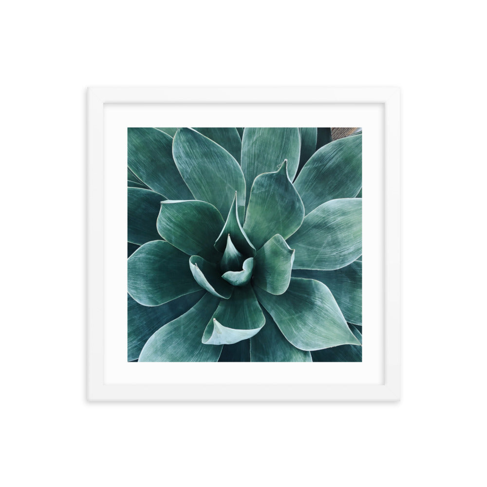 Framed agave paper poster with teal succulent leaves and a light outer frame