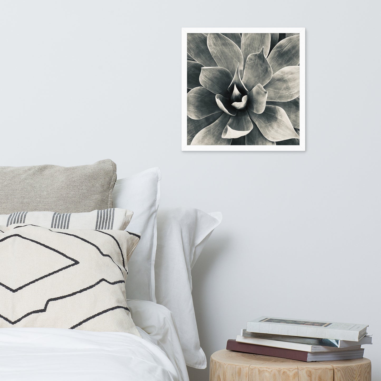 Agave (b + w) {a framed photo paper poster}