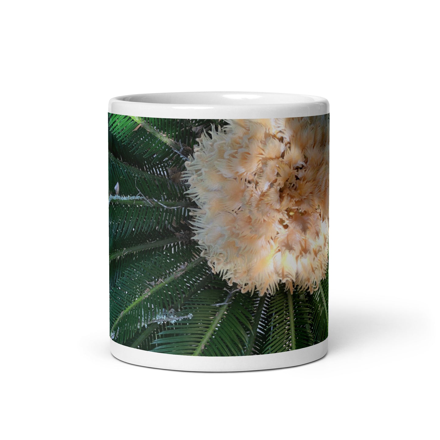 Sago Palm on Sunbelt {a white glossy mug}