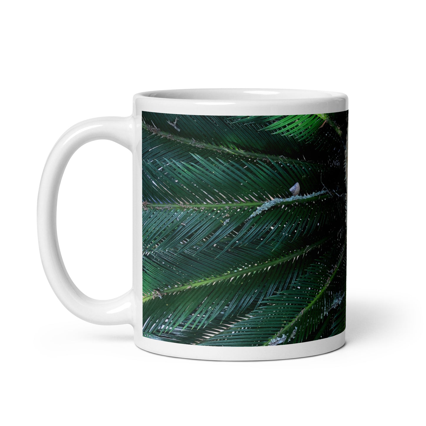 Sago Palm on Sunbelt {a white glossy mug}