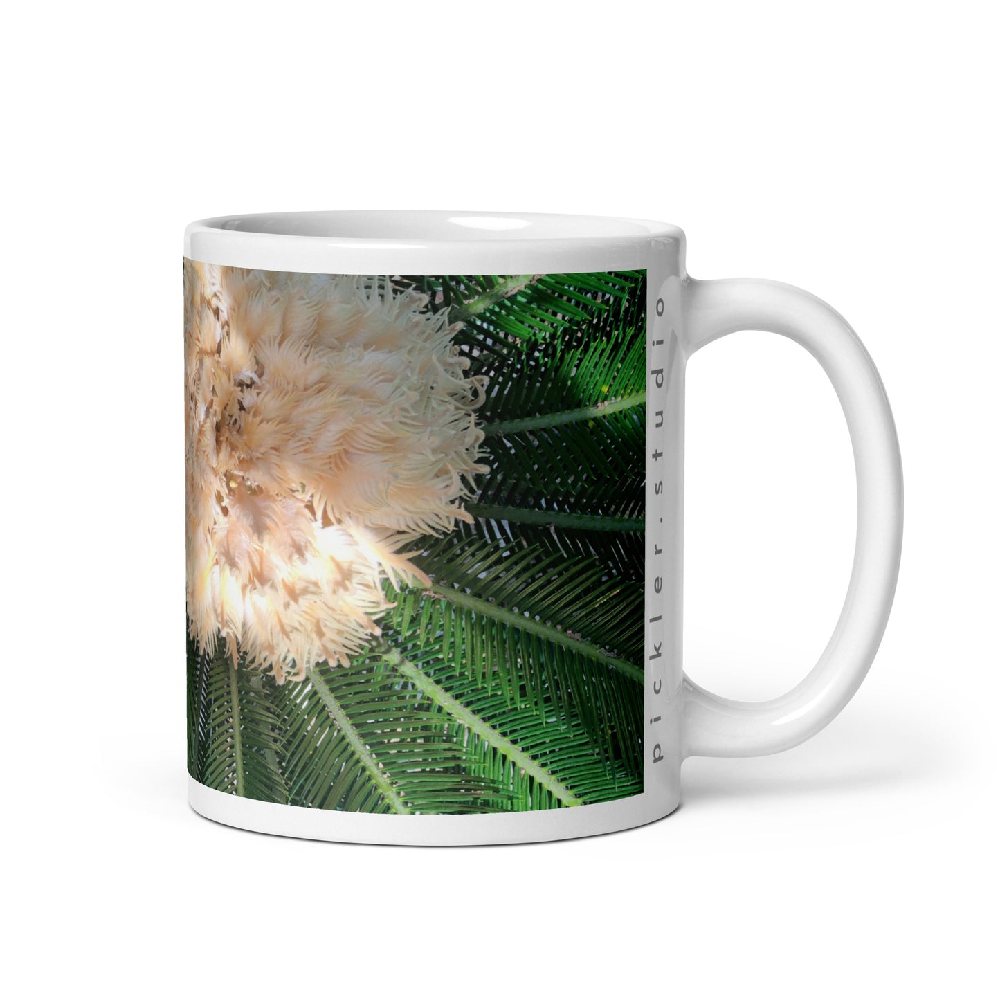 Sago Palm on Sunbelt {a white glossy mug}