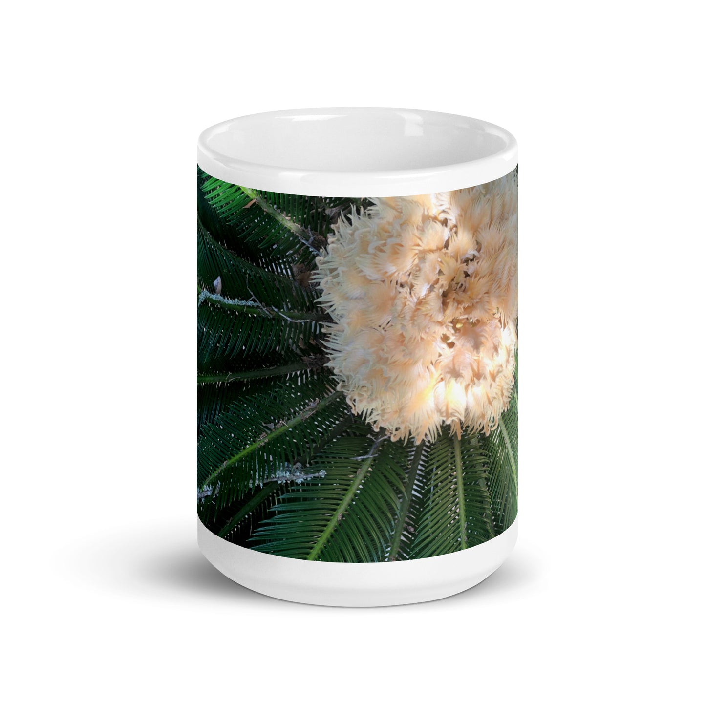 Sago Palm on Sunbelt {a white glossy mug}