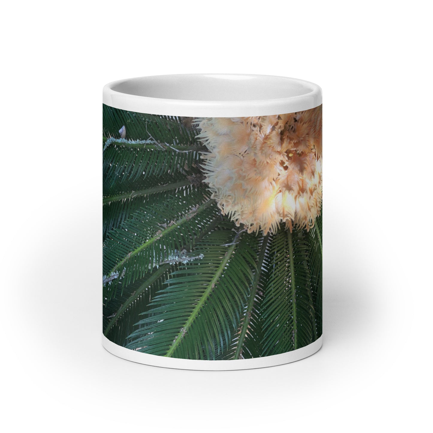 Sago Palm on Sunbelt {a white glossy mug}