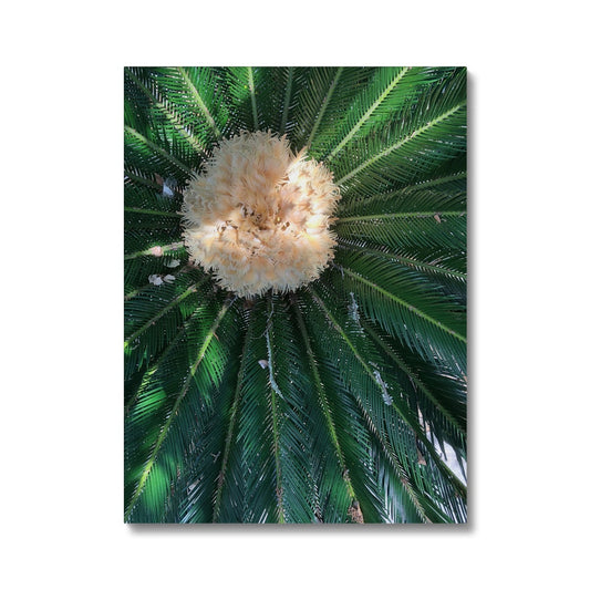 Sago Palm on Sunbelt Canvas