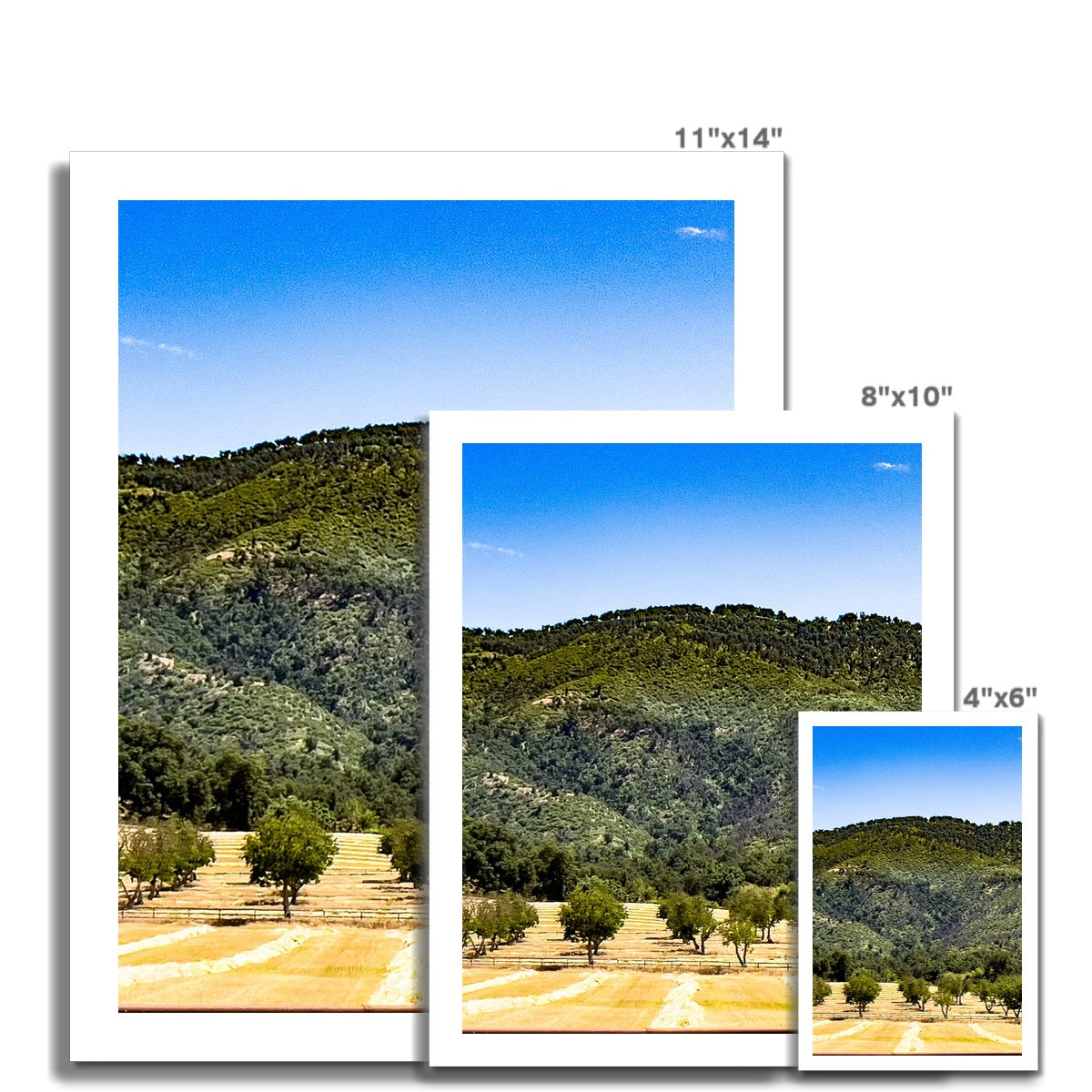 Ojai Valley {before summer} Photo Art Print