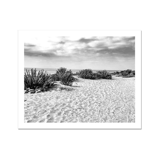 Seaside Park (b+w) Photo Art Print