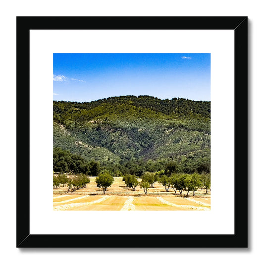 Ojai Valley {before summer} Framed & Mounted Print