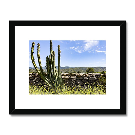 Ojai Cactus Framed & Mounted Print