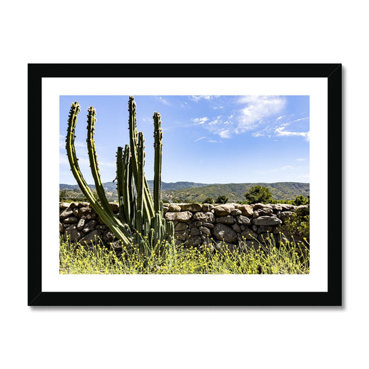 Ojai Cactus Framed Print