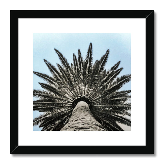 Bluey Palm Framed & Mounted Print