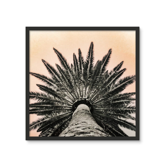 Tinty Palm Framed Photo Tile