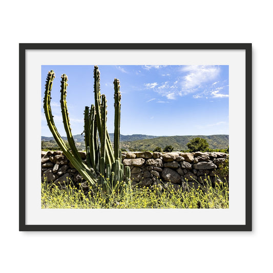 Ojai Cactus Framed Photo Tile