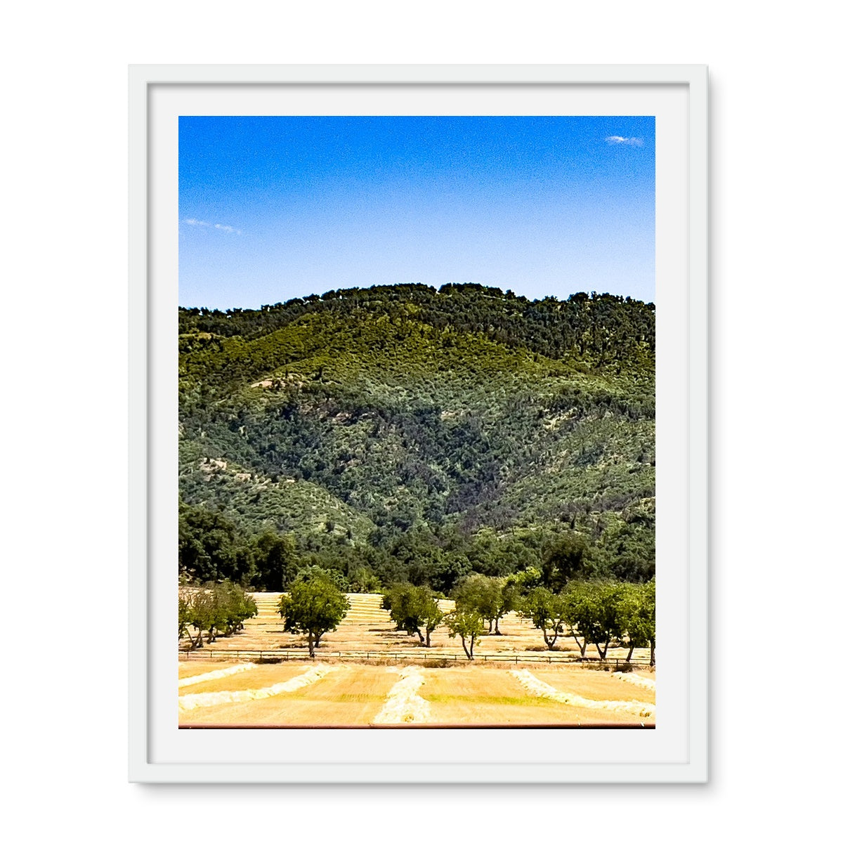 Ojai Valley {before summer} Framed Photo Tile