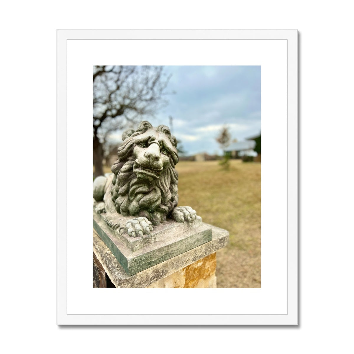 Fredericksburg Friend Framed & Mounted Print