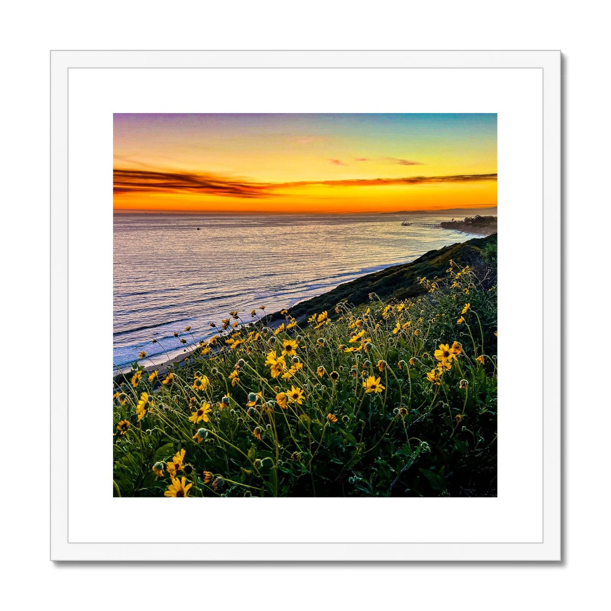 Yellow Daisy Sunset Framed & Mounted Print