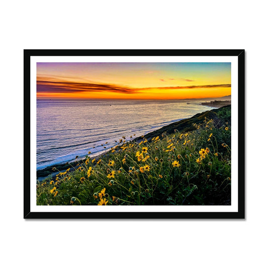 Yellow Daisy Sunset Framed Print