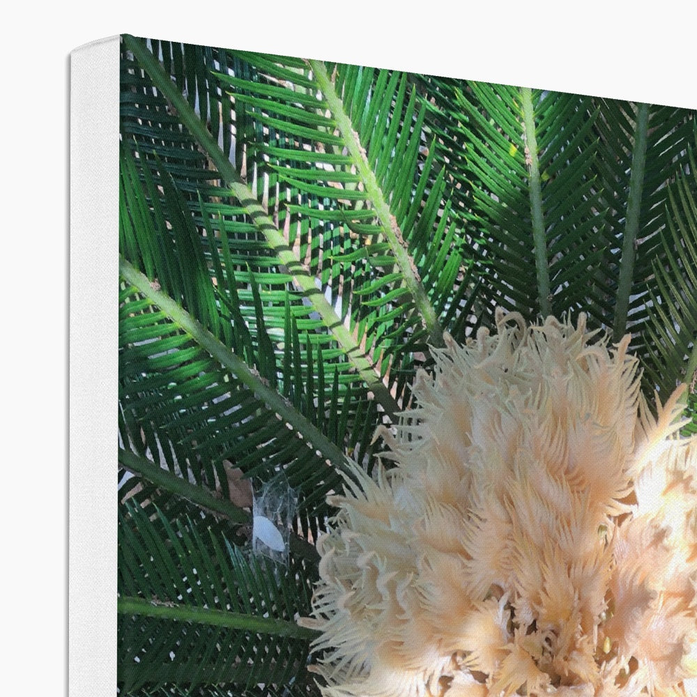 Sago Palm on Sunbelt Canvas