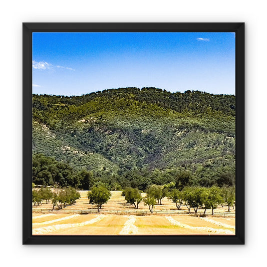 Ojai Valley {before summer} Framed Canvas