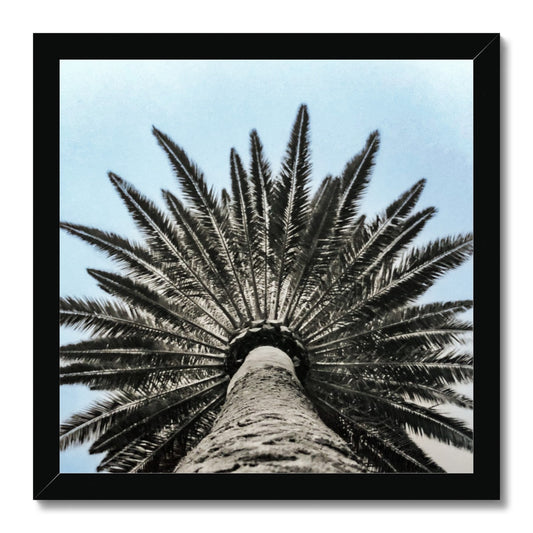 Bluey Palm Framed Print