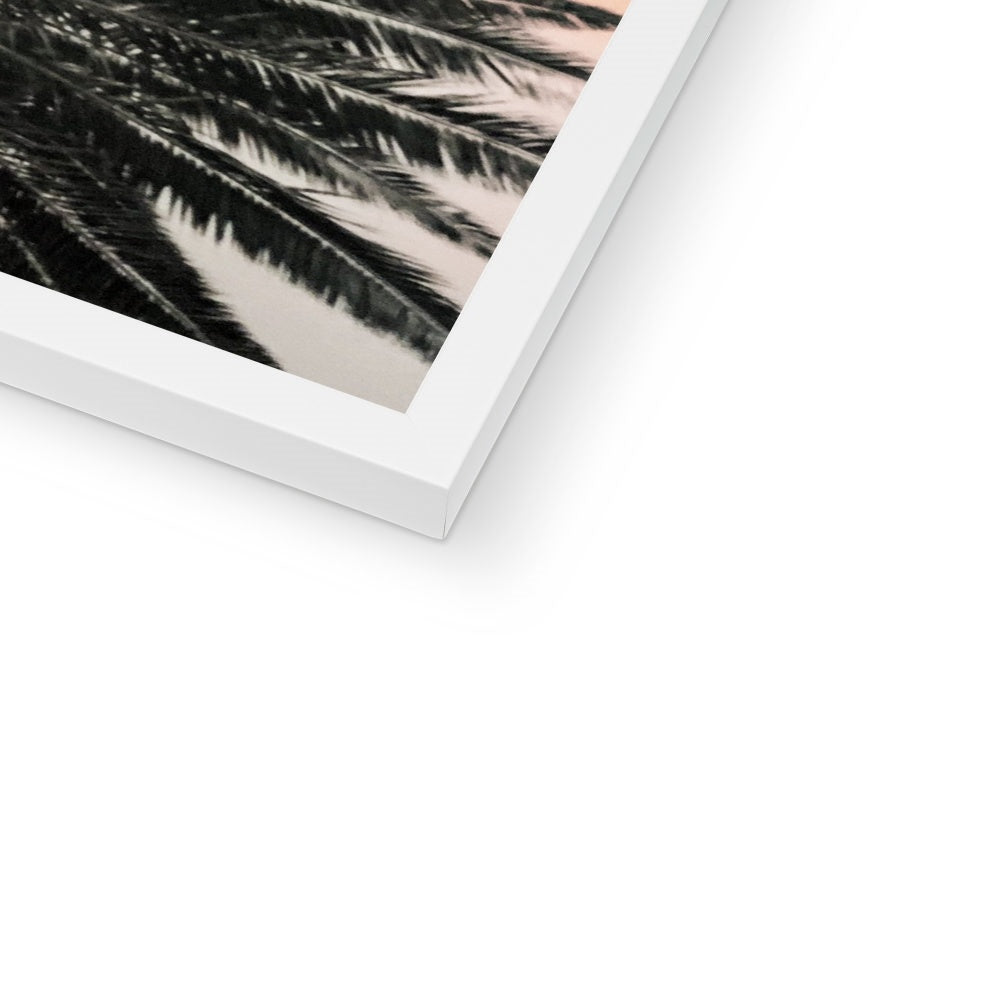 Tinty Palm Framed Print