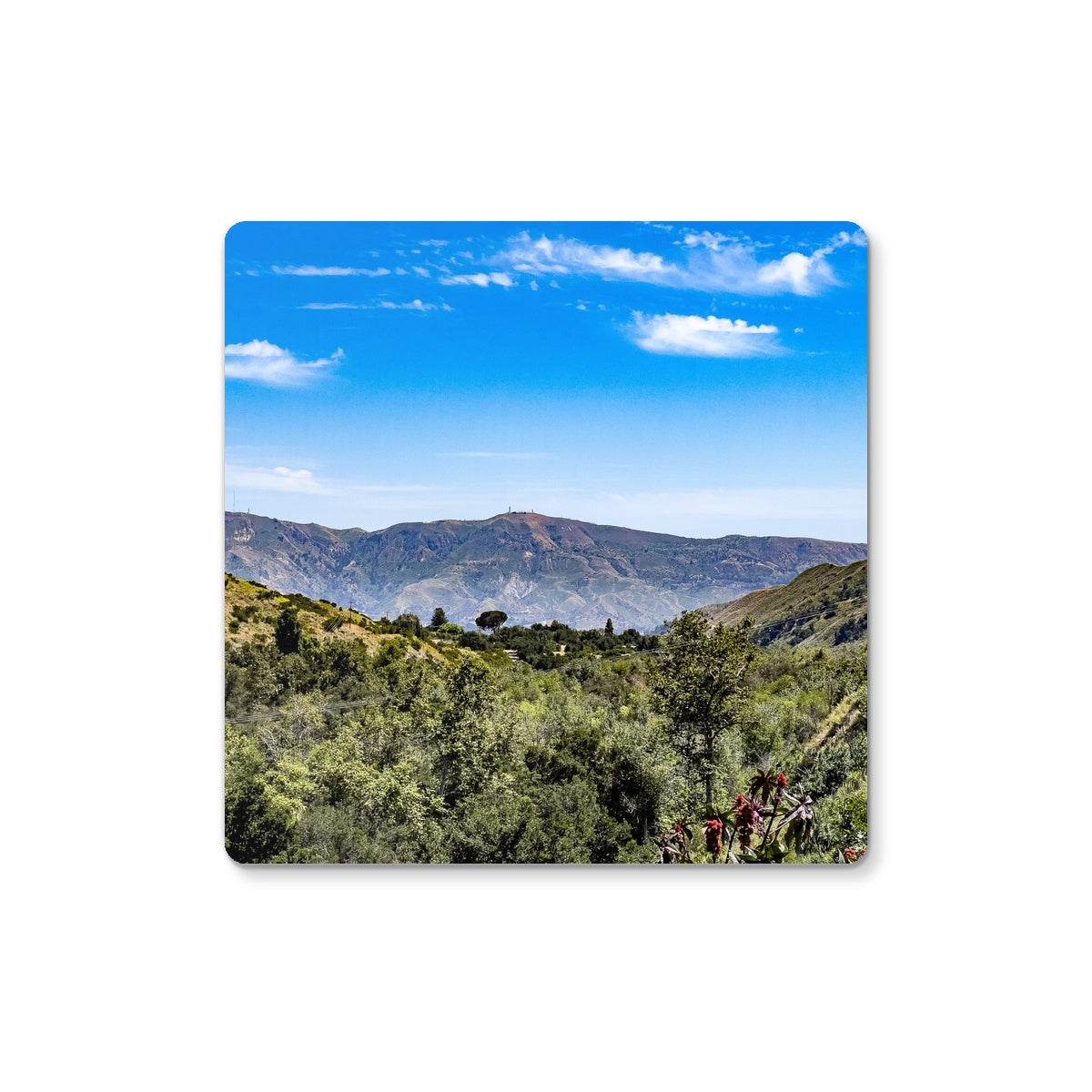 Ojai Valley Coaster