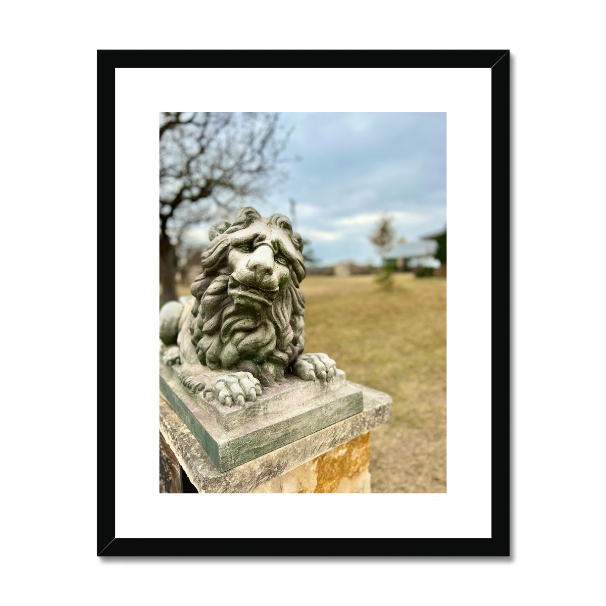 Fredericksburg Friend Framed & Mounted Print