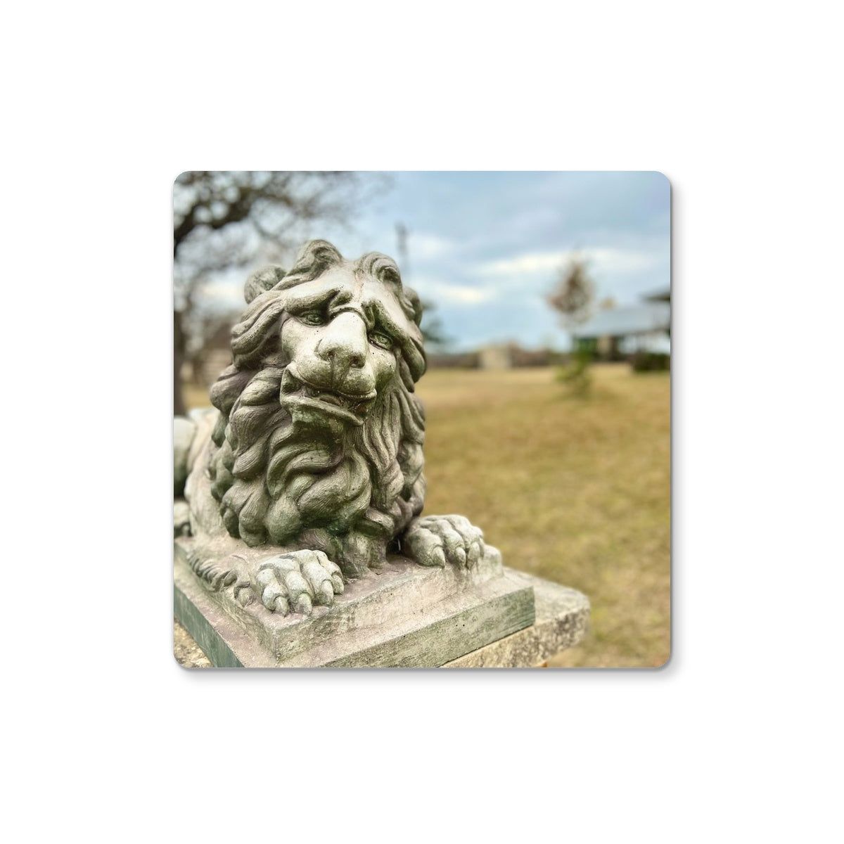 Fredericksburg Friend Coaster