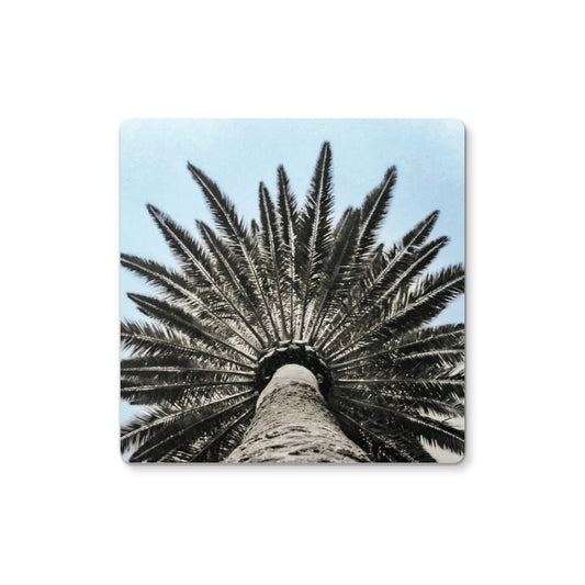 Bluey Palm Coaster