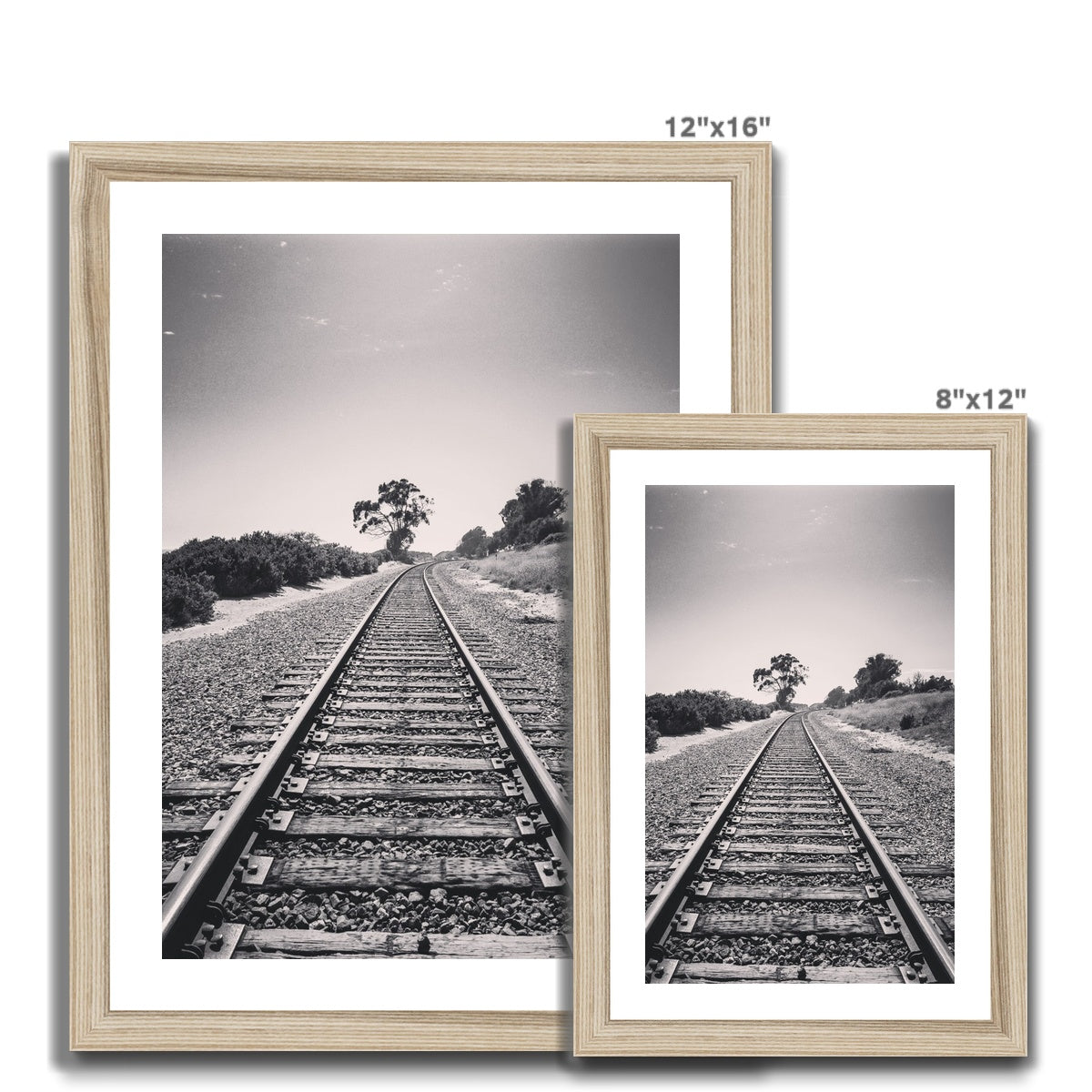 Pacific Surfliner  (b+w) Framed Print