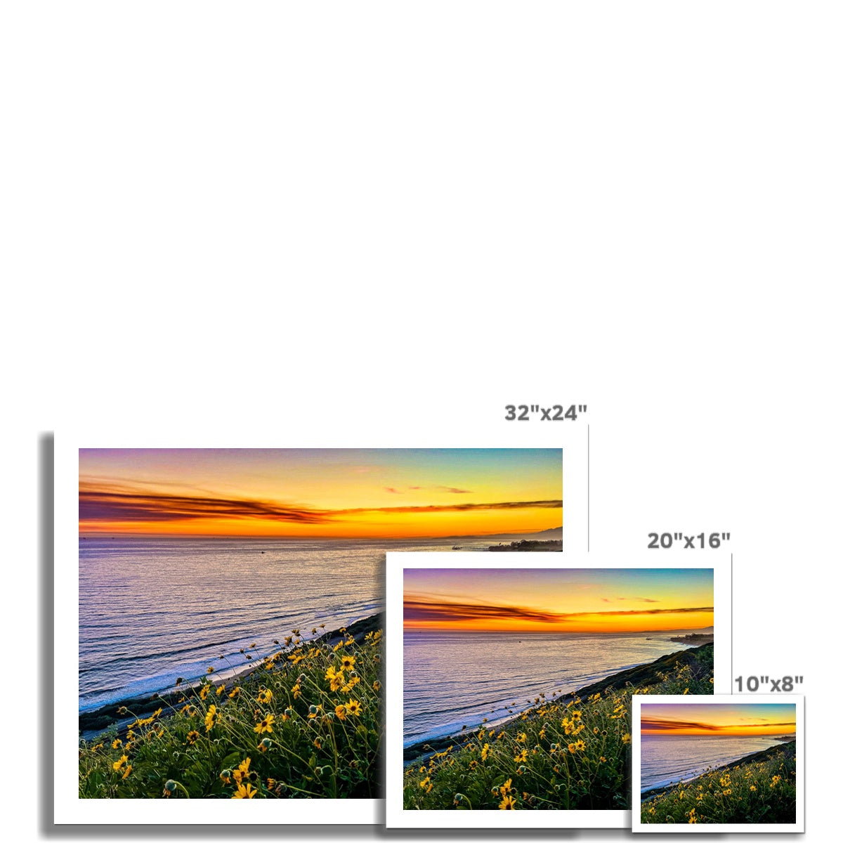 Yellow Daisy Sunset Wall Art Poster