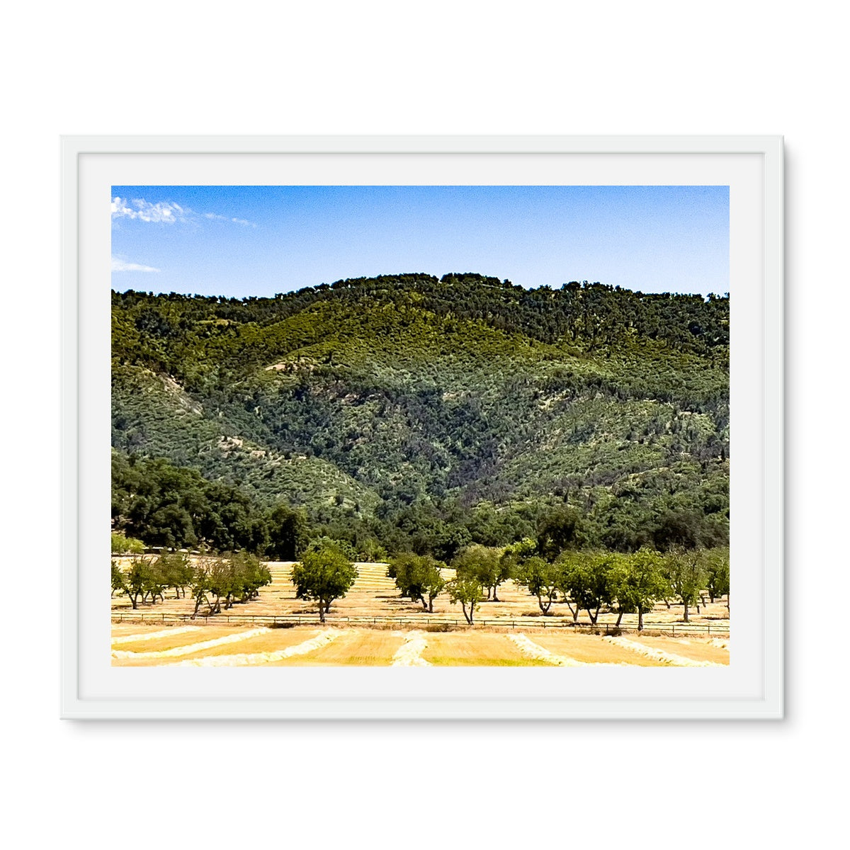 Ojai Valley {before summer} Framed Photo Tile