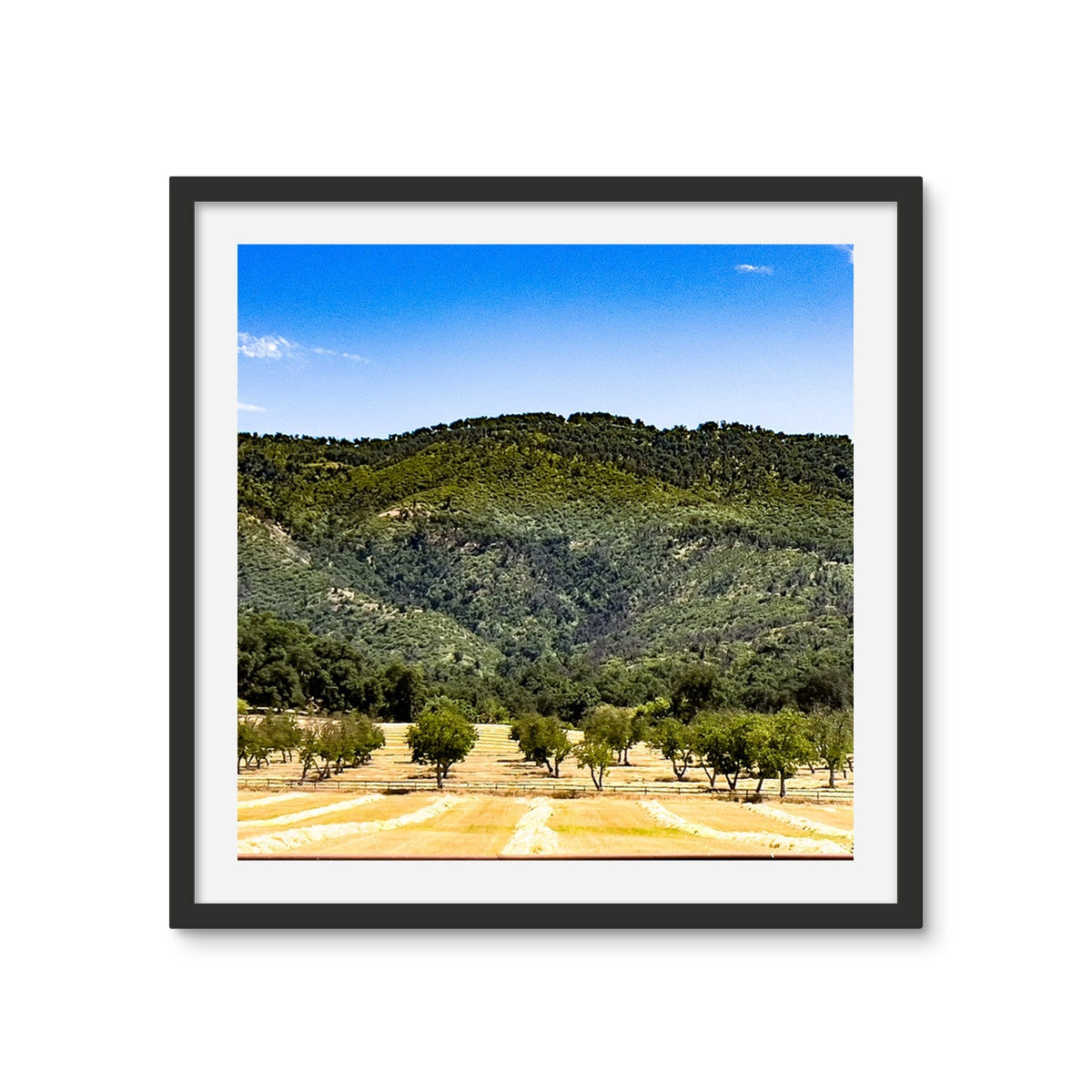 Ojai Valley {before summer} Framed Photo Tile