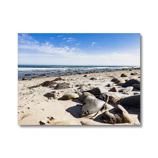 Rincon Beach Canvas