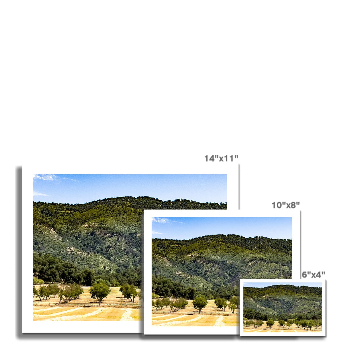 Ojai Valley {before summer} Photo Art Print