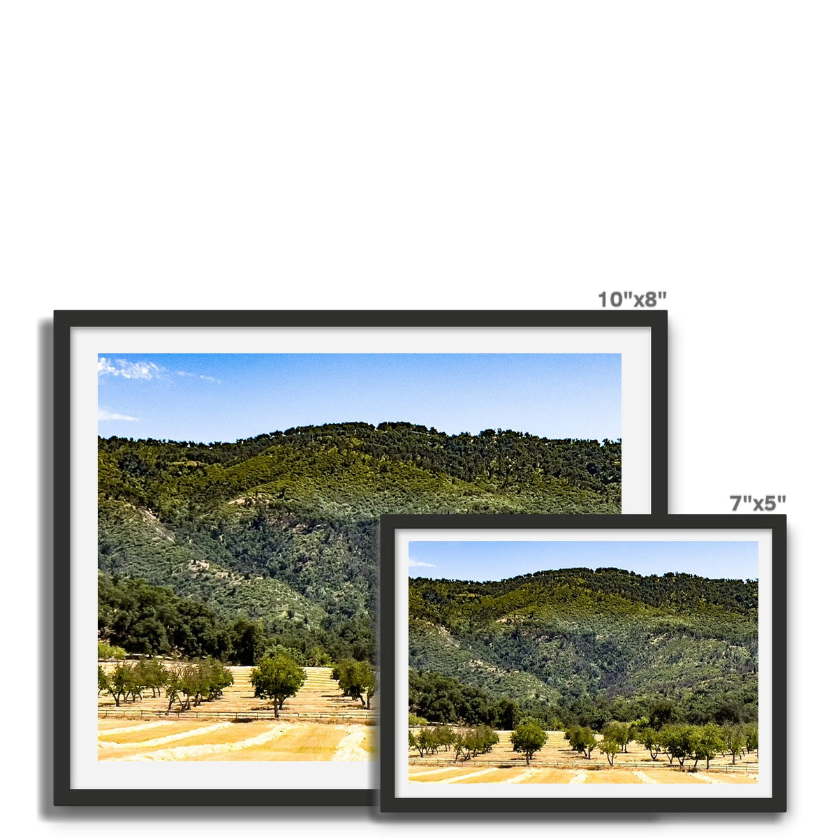 Ojai Valley {before summer} Framed Photo Tile