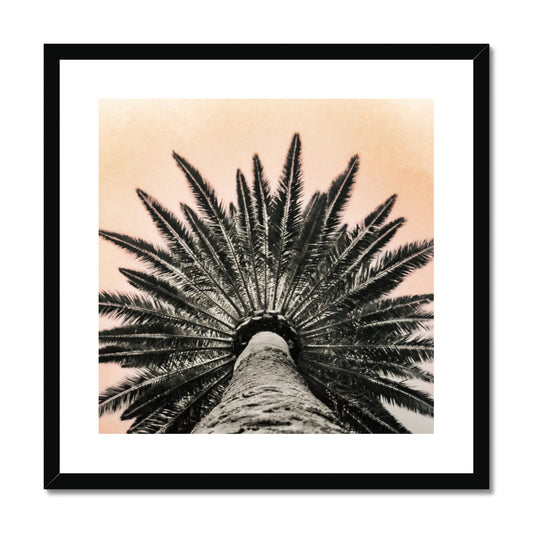 Tinty Palm Framed & Mounted Print