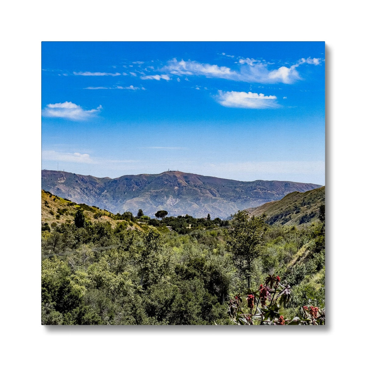 Ojai Valley Canvas